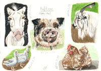Farm animals (Zotter Zoo), Nicole Hörold