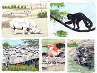 Zurich Zoo 2020, Nicole Hörold